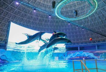 徐州欧乐堡海洋极地世界+龟山景区【私家小包团，行程自由轻松】