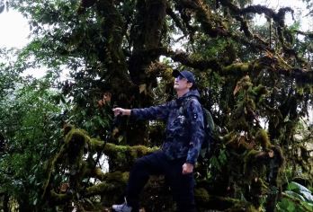 高黎贡山青草岭毛毛球森林6km徒步+雷击木森林+傈僳手抓饭【下车即达毛毛球森林，毛毛球覆盖广,高山野温泉可侵泡】