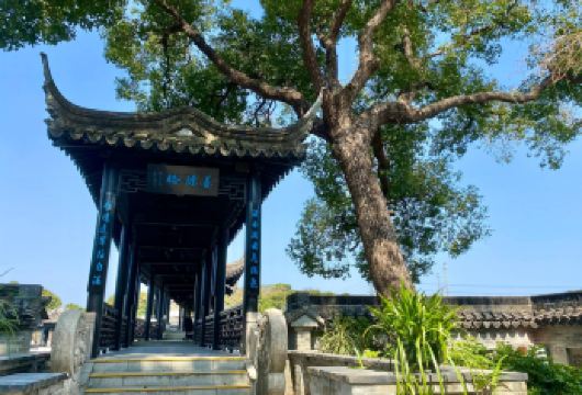 私家团上门接送|孙中山故居+詹园+孙文西路+中山市博物馆一日【私家旅行：一单一团，不拼客，专属旅行； 品质服务：车上门接送，专职司机护航】