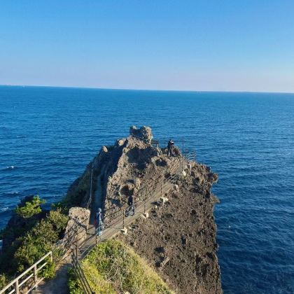 伊豆经典游 下田公园-弓之滨-下田海中水族馆-龙宫窟-石廊崎
