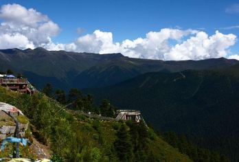 林芝出发鲁朗林海.鲁朗小镇.扎西岗村.色季拉山一日游丨市区接【打破传统旅游套路模式，林芝当地出发一日游，多景点选择】