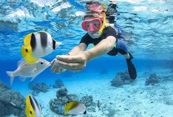 泰国芭堤雅格兰岛一日游/出海浮潜深潜拖曳伞摩托艇中文导游【[优质服务]中文导游，跟拍，专业客服，快速确认、提供芭提雅市区往返接送服务】