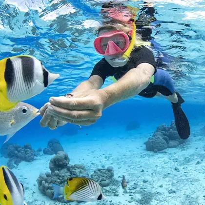 泰国芭堤雅格兰岛一日游/出海浮潜深潜拖曳伞摩托艇中文导游