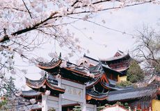 南京鸡鸣寺+南京台城+玄武湖景区半日游【皇家园林,远眺南京城,可以升级套印体验】