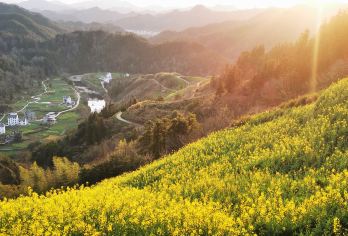 安徽黄山石潭景区一日游【专车接送踏青赏花季这个春只为等你来】【一价全含-高性价比：无隐形消费，无套路，真纯玩！！！】