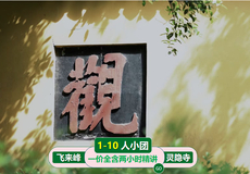 杭州灵隐寺+灵隐飞来峰景区半日游【1-10人小团2小时讲解/每日3场/含两道门票/可订制私家团】