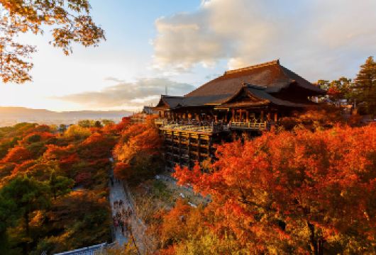 京都：清水寺+二三年坂+伏见稻荷大社+金阁寺+岚山火车一日游【24小时客服在线-上门接送-无购物无隐形消费】