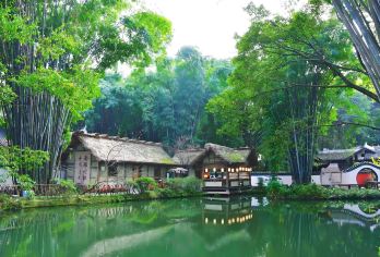 成都武侯祠+杜甫草堂+宽窄巷子+大熊猫繁育基地一日游【可选英文导游|专车接送|行程可调|可定制行程】