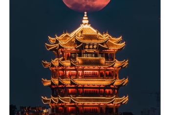 黄鹤楼+湖北省博物馆+长江大桥/武汉大学/东湖 一对一导游【一对一导游服务】