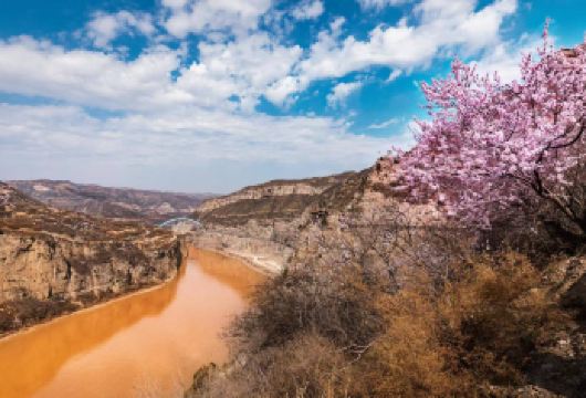 河津黄河大梯子崖+龙门古镇一日游【黄河大梯子崖+龙门大桥】【体验千年古道 挂壁天梯 千年画廊 黄河风情】