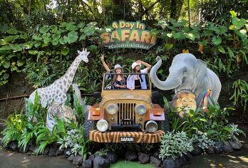 北京野生动物园包车一日游【上门接送*独立包车*多种车型可选】【五环内上门接送10h游，独立包车，亲子游童年趣无限】