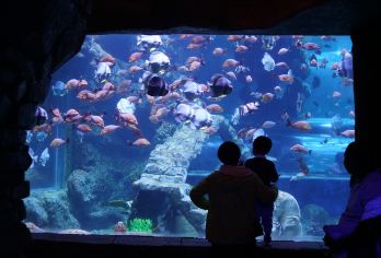 威海市畅游亲子/银发/情侣|景点可调【中文司机】