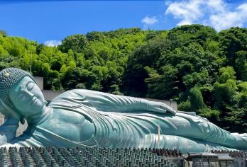 【日本福冈人气一日游】南藏院&太宰府&汤布院&海地狱【穿越千年神社与地热奇观，在九州来一场禅意与自然的对话】