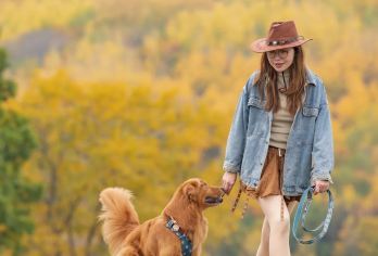 封神级的秋天+玩转核心景点 | 乌兰布统坝上草原一日游【光影与色彩的追逐：乌兰布统秋日摄影一日行】