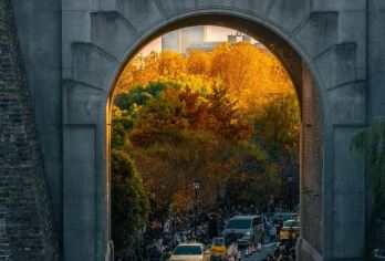 南京日游/导游/中文/英文/俄语行程可调 4小时导游服务【全程中文/英文/俄语/多种小语种服务，专业讲解，沟通无障碍，景点可调。】