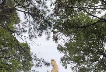 舟山普陀山风景区一日游【最多9人小团】全程导游陪同讲解【[便捷交通]海陆斜接，一站式服务，解决您自行排队，预约门票的繁琐！】