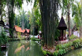 杜甫草堂半日游【门票+专业讲解1.5小时/可选拼团包团】【[轻松纯玩]合理规划参观路线，少走冤枉路。】