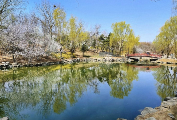 【纯玩无购物】圆明园讲解+含票【必成团】