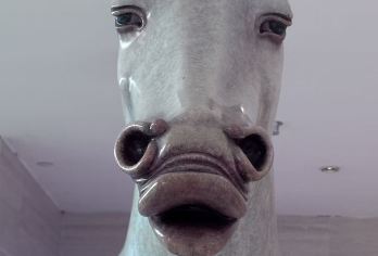 南京博物院半日游【多种套餐任选+含耳麦防蹭听+高级讲师带队】【[深度讲解]2小时文史老师历史馆+特展馆（镇馆之宝小金兽）深度讲解】