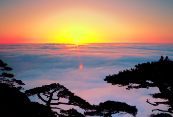 南昌市区/机场-井冈山包车游【春季漫山遍野油菜花 篁岭色彩斑斓晒秋季】