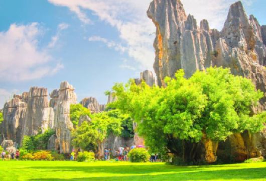 【15人品质纯玩】昆明石林风景区一日游丨金牌导游丨含特色午餐【[一价全含]含门票含特色菜含中文导游讲解（金牌导游），优选纯玩不购物，品质有保障，让您出行无后顾之忧】