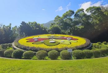 台北出发｜【拼团】阳明山夜间之旅（含预订服务）【全新推出独特阳明山夜景路线，浪漫满分。】