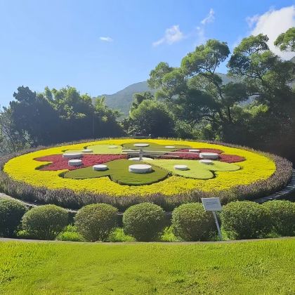 台北出发｜【拼团】阳明山夜间之旅（含预订服务）