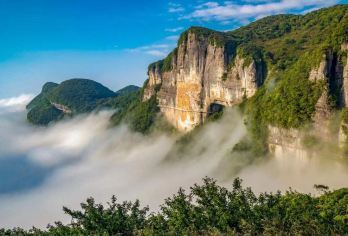 【重庆南川-金佛山一日游】（可英文导游）【专车服务，上门接送，纯玩0购物。】