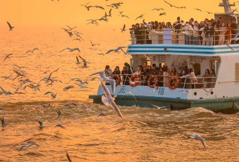 鼋头渚+车接车送+导游【10人包团】【私家小团无人打扰】