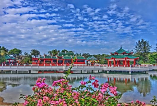 娘惹风情+双岛悠游｜新加坡包车一日精致游【文化+自然+地标三重打卡：翡翠山路娘惹风情、双岛生态秘境、鱼尾狮公园城市地标一次集齐】