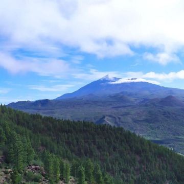 西班牙 特内里费岛月桂森林徒步半日游 马斯卡