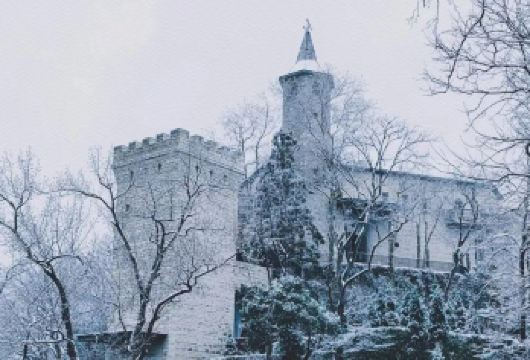 莫干山一日活动【私家小团+专车上山无需换乘+全程陪同讲解】【[舒适出行]莫干山景区内全程专车游玩，无需换乘园内交通，专车直达核心景点（接驳车辆为全系车型）】