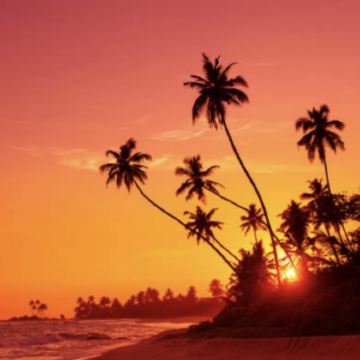 斯里兰卡南部海岸之旅 ，加勒古堡+海龟保护区+马杜河游船