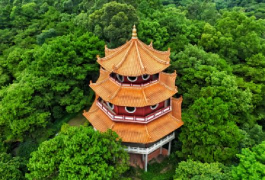 广州至三水日游：古建筑、大佛与创意滨江【探访明清古村巷弄，登临山顶俯瞰传统屋顶与荷塘交织的壮丽全景。 在百年古榕树下放松身心，于葱郁乡野环绕的开阔草坪上享受宁静野餐。 探索一座融合儒家文化的静谧森林公园，这里坐落着世界上*大的卧佛雕像。】