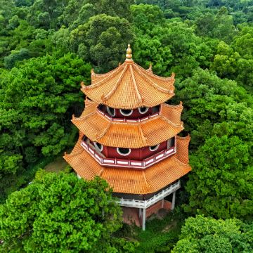 广州至三水日游：古建筑、大佛与创意滨江