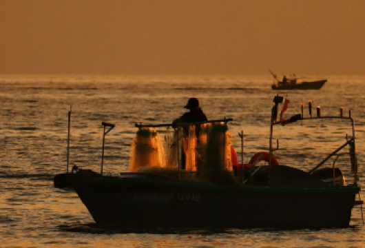 惠州巽寮湾+磨子石公园+双月湾+海龟湾【司兼向导，独立小团】【活力大湾区之[魅力惠州]打卡经典线路。惠州巽寮湾、玫瑰礼堂、磨子石、双月湾、海龟湾，情人堤，吃海鲜。】