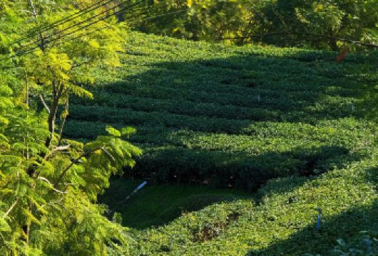 广州出发清远英西峰林走廊+洞天仙境+峰林晓镇一日游拼团【可提供中英文及小语种司机/导游服务-往返接送-可选导游】