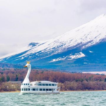 【1-9人团】东京富士山一日游：天鹅船/KabaBus体验！