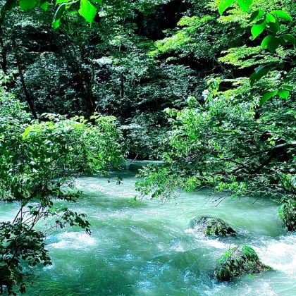 青森澳入濑溪流+八甲山+十和田湖包车游—中文司机/行程可调