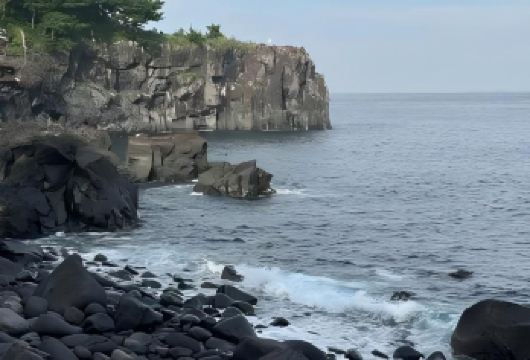 日本东京+伊豆+热海海滨公园一日游/行程可调-可定制多日【包车一日游，解锁旅行新方式！独立车辆配备经验丰富的老司机，为您量身打造专属行程。】