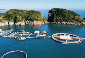 广东惠州双月湾5000平海上鱼排海钓11小时+快艇往返接送【鱼排稳当不晕船，海鱼狂拉，适合一家大小；】