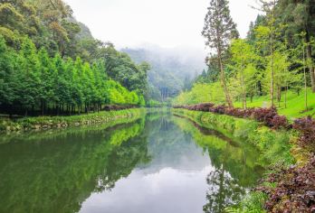 杉林溪森林渡假园区+忘忧森林一日游｜拼团买一送一优惠【春天牡丹、夏天绣球、秋天枫红、冬季云雾缭绕，一场与四季花草的美丽邂逅】