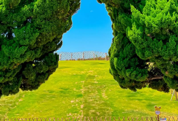 青岛一日游栈桥小鱼山天主教堂八大关五四广场小麦岛【亲子游/情侣游/家庭游】