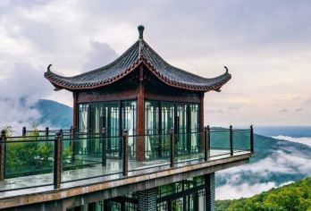 北海丝路越州浦北石祖禅茶园（陈皮产业园）【花岗岩地貌~天然氧吧~万亩茶园~森林康养】