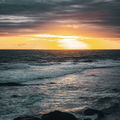 斯里兰卡宗教圣地与自然治愈之旅，康提佛牙寺+大象孤儿院包车游