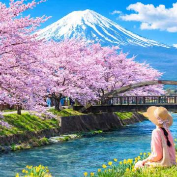 富士山季节限定赏樱一日游·河口湖·山中湖·罗森·日川时计店