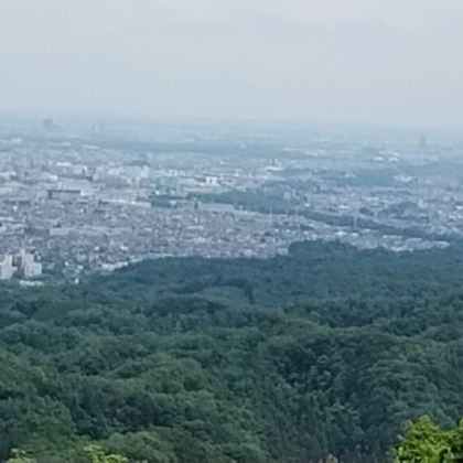 日本东京往返川越・小江户 + 龙猫森林中文一日游