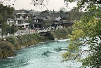 都江堰景区+熊猫乐园 至尊一日游 三环内上门接【纯玩、无购物 合理安排旅游景点】