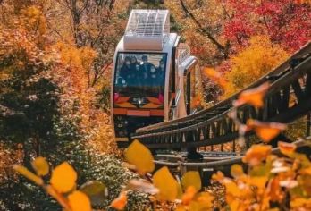 韩国和谈林一日游【和谈林 奥林匹克公园一日包车游 中文司导】【和谈林坐拥165,265平方米，并拥有17个主题花园】