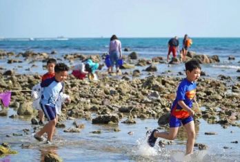 海棠湾后海村赶海 专业户外领队带队跟团/一对一家庭 提供工具【提供赶海装备 专业领队带领 轻松打卡沉浸式赶海】
